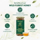 Organic Wild Forest Honey Pack of 2, 600g | Unprocessed, Unpasteurized | Glass Jar Value Pack of 2 (300gx2, Pack of 2)