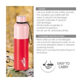 Milton Ancy 1000 Thermosteel Water Bottle, 1.05 Litre, Red | 24 Hours Hot and Cold | Easy to Carry | Rust Proof | Tea | Coffee | Office| Gym | Home | Kitchen | Hiking | Trekking | Travel Bot