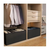 HOMETALES - Closet Organizers ( Pack of 2 )