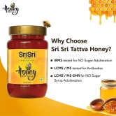 Sri Sri Tattva Honey - 100% Natural