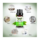 Phillauri Tea Tree Others Essential Oil Fruity With Dropper 30 mL ( Pack of 1 )