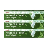 Mpil Wellness Neemelia Fresh Toothpaste For Healthygums & Strong Teeth 100Gm (Pack Of 3)