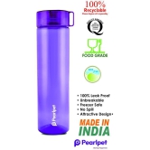 PearlPet - Purple Water Bottle ( Pack of 6 ) - Purple