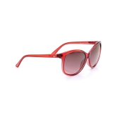 Pink Bugeye Sunglasses for Women