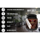 SOS Nutrition Gold Whey Protein and Pea Protein Powder with Ayurveda, Multivitamins for Muscle Building, Recovery, 24g Protein (Belgian Chocolate, 910g)