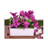 YUTIRITI Lily Purple Flowers With Pot - Pack of 1