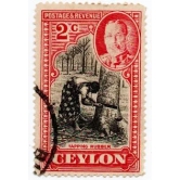 Ceylon Tabbing Rubber postage Stamp