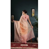 Organza saree