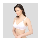 Elina - White Cotton Solid Womens Maternity Bra ( Pack of 1 ) - 34B