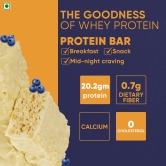 Fitspire Protein Bar - 60 gm | 20.2 gm Protein | No Artificial Sweetener & Flavor - Blueberry Flavor