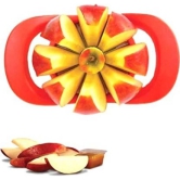 Pack Of_5 Apple Cutter Or Slicer With 8 Blades (Color: Assorted) PID37689