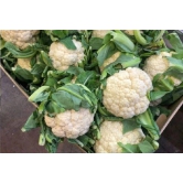 homeagro - Cauliflower Vegetable ( 50 Seeds )