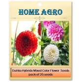 homeagro - Dahlia Mixed Flower ( 25 Seeds )