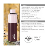 Milton Ancy 1000 Thermosteel Water Bottle, 1.05 Litre, Brown | 24 Hours Hot and Cold | Easy to Carry | Rust Proof | Tea | Coffee | Office| Gym | Home | Kitchen | Hiking | Trekking | Travel -