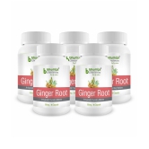 BHUMIJA LIFESCIENCES Ginger Root Capsules 300 no.s Pack of 5