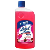 Lizol Disinfectant Surface & Floor Cleaner Liquid - Floral, 750 ml