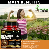 Humming Herbs Boswellia Serrata Supplement - High Potency Joint Support, Enhanced Mobility & Fortify The Immune System Support - Pack of 2