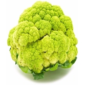 Vegetable Seeds Cauliflower (Gobhi )pack of 50 F1 Hybrid seeds