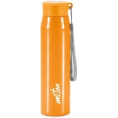 Milton Handy 850 Stainless Steel Water Bottle (780 ml) Orange - Orange