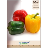 Creative Farmer Pepper Agro Capsicum F1 Colored Seeds Seed