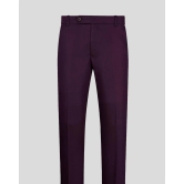 Wine Normal Fit Trousers-32