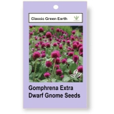 CLASSIC GREEN EARTH - Gomphrena Flower ( 50 Seeds )