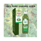 Axiom Gokhru Juice 500ml (Pack of 2) | 100% Natural WHO-GLP,GMP,ISO Certified Product