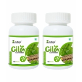 Zindagi Pure Giloy Capsule 120 gm