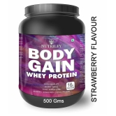 Nutriley Whey Protein Powder for Weight Gain & Muscle Gain 500 gm