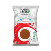 Natureland Organics Cinnamon Powder, 100 gm Each - Pack of 2