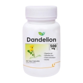 Biotrex Dandelion 500mg - 60 Capsules, Antioxidant, Detoxifies Liver, Digestive Aid