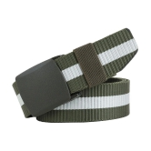 Loopa Multi Nylon Casual Belt Pack of 2 - None