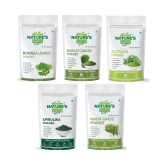 Nature's Gift Green Super Food Combo Pack (100 GM Each) Powder 500 gm Pack of 5