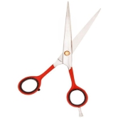 Dhanishka Moustache Scissors