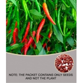 F1 Hybrid Chilli Mirchi Vegetable Seeds For Kitchen | Pack Of 20