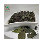 DIVINE EARTH HERBAL Green Booster Tea Bags 40 gm