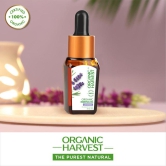 Organic Essential Oil: Lavender - 10ml