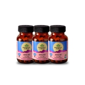 ORGANIC INDIA Amalaki 60 Veg Capsules (Pack of 3)