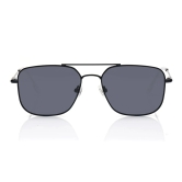 Blue Wayfarer Sunglasses for Men and Women - Wolverine Collection