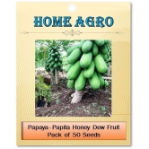 homeagro - Fruit Seeds ( 50 - seed )