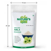 Nature''s Gift - 100 gm Amla Powder (Pack of 1)