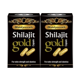 Baidyanath Shilajit Gold | 10+10 Caps (Pack of 2 )