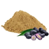 Jamun Seed Powder (100 Gms)