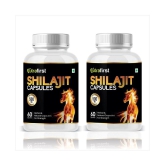 NutraFirst Shilajit Capsule, to boost Testosterone Levels, Vigour and Stamina for Men, Vegeterian Capsule, 2B (2 x 120 Capsules)