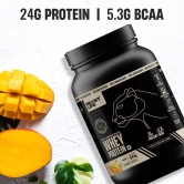 Pro Concentrate Whey Protein with Ultrasorb Tech | 924gm | Mango