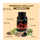 Vedapure Premium Shilajit for Stamina, Power -Men & Women - 60 Cap