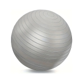 Fitness Scout Gym Ball ( Pack of 1 ) - ONESIZE