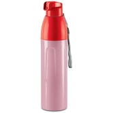 Milton Kool Convex 1100 Insulated Inner Pet Water Bottle, 900 ml, Light Red | Easy To Carry | Leak Proof | School | Office | Gym | Hiking | Treking | Travel Bottle - Red