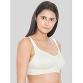 ILRASO - Green Nylon Removable Padding Women's Minimizer Bra ( Pack of 1 ) - None