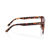 Brown Wayfarer Sunglasses for Unisex